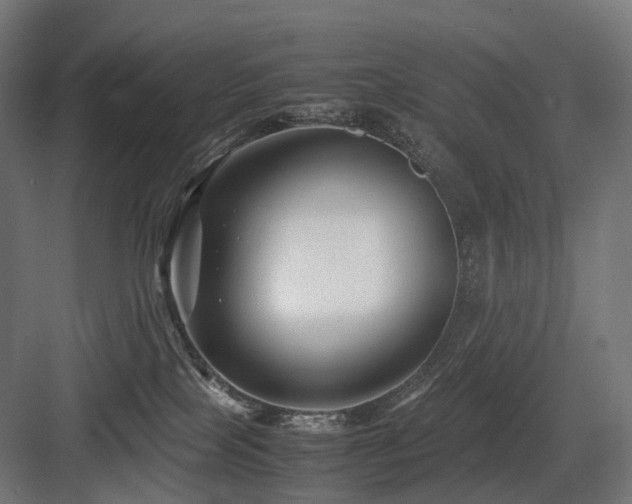 X0000083640089200702121135