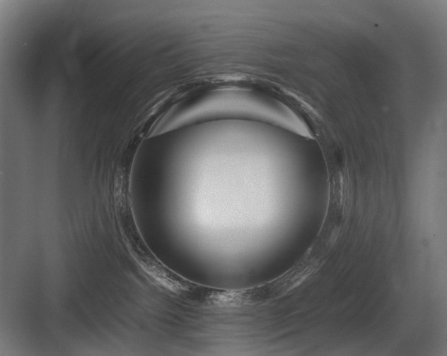 X0000083640092200702121135
