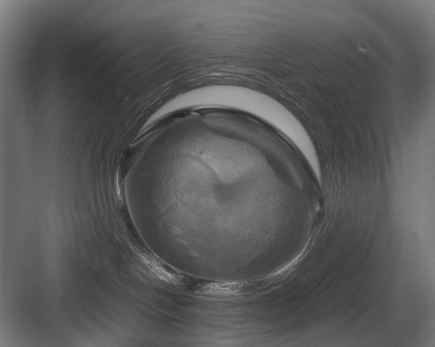 X0000083640094200702121135