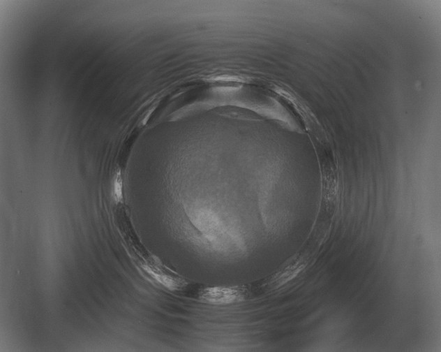 X0000083640095200702121135