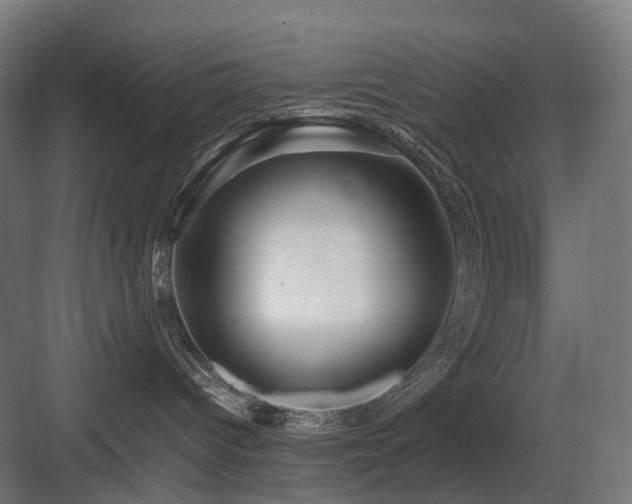 X0000083640096200702121135