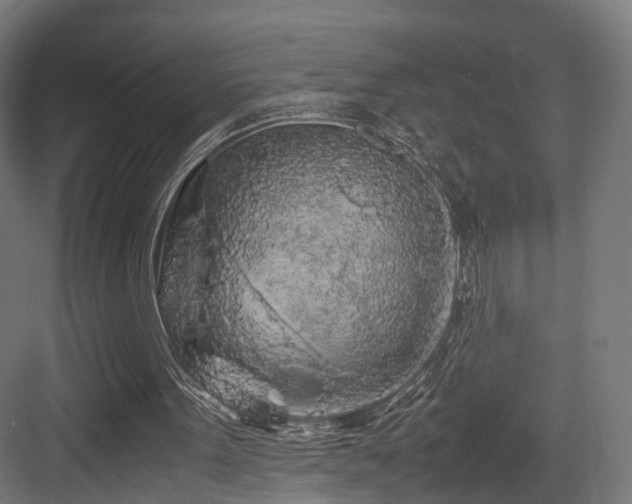 X0000083640099200702121134