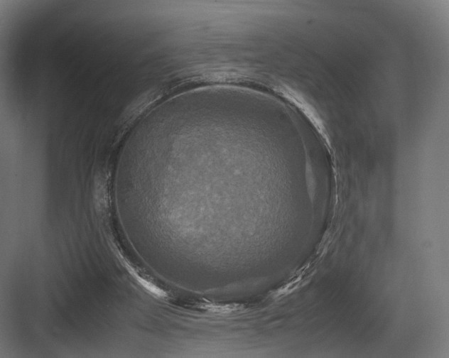 X0000083640105200702121134