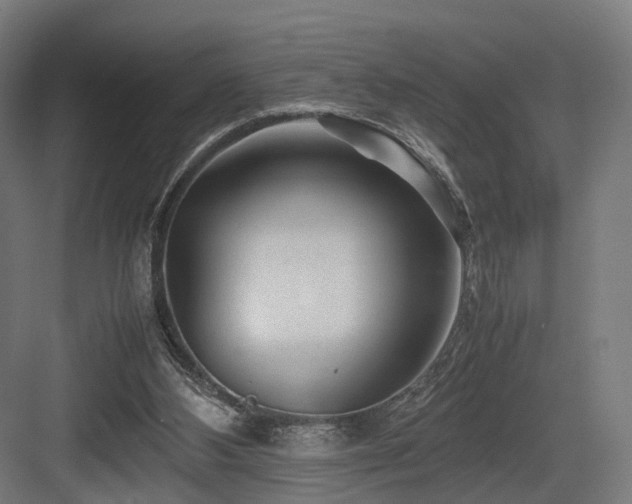 X0000083640108200702121134