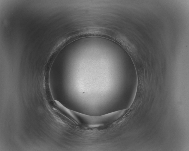 X0000083640112200702121134