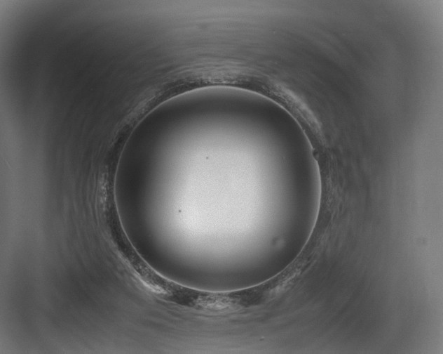 X0000083640113200702121134