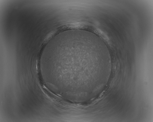 X0000083640115200702121134
