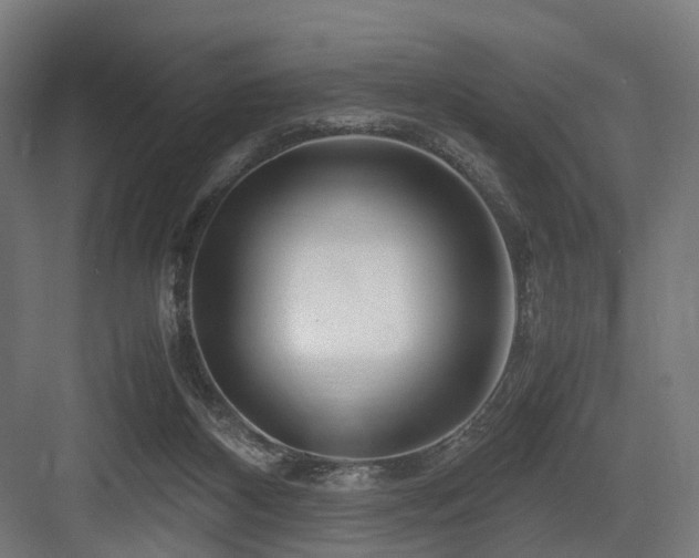 X0000083640116200702121134