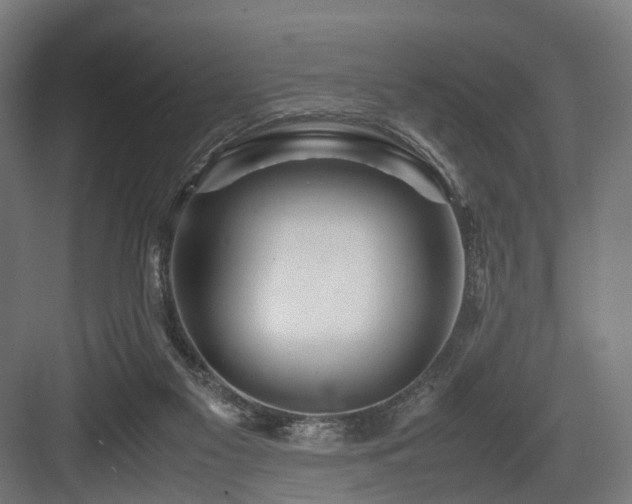 X0000083640117200702121134