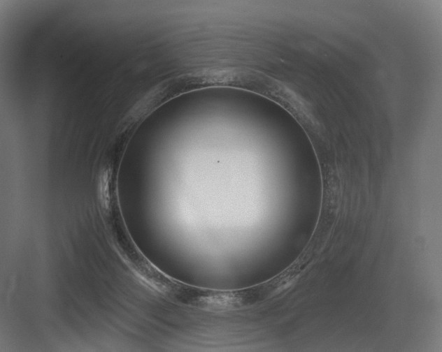 X0000083640118200702121134