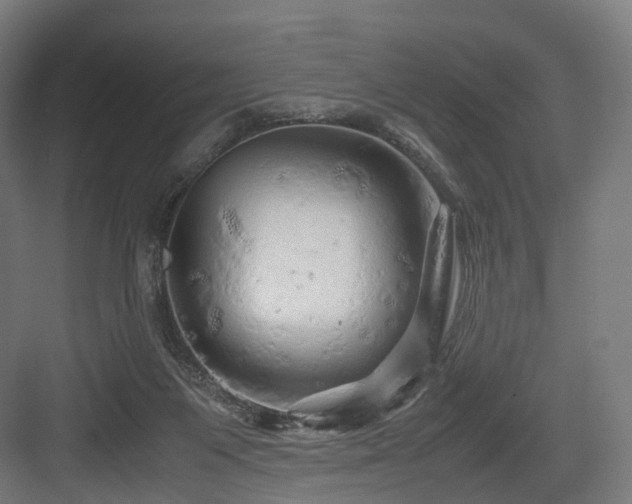 X0000083640119200702121134
