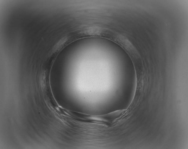 X0000083640120200702121134