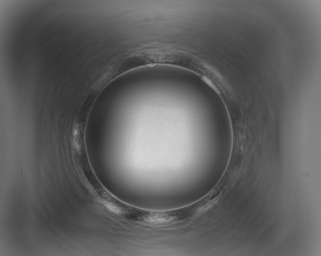 X0000083640121200702121134