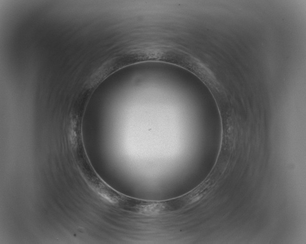 X0000083640122200702121134