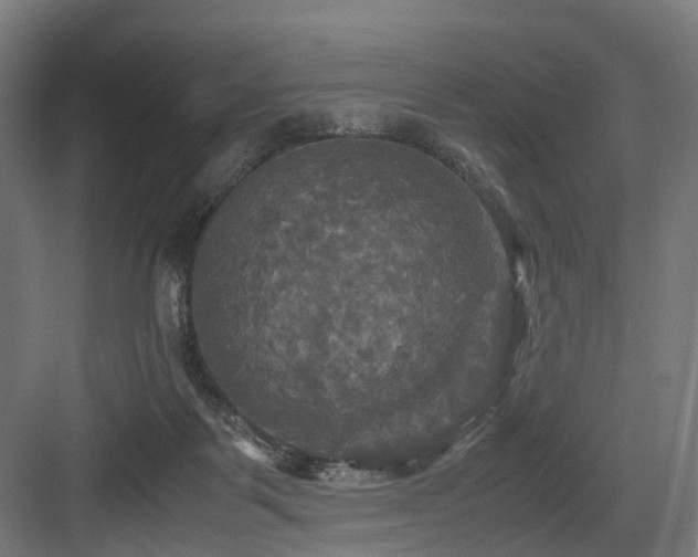 X0000083640123200702121134