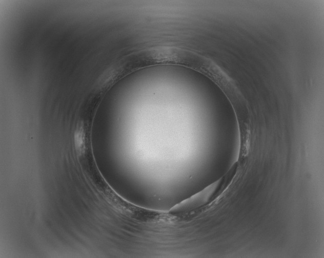 X0000083640124200702121134
