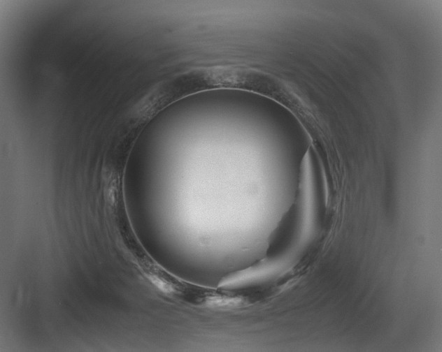 X0000083640125200702121134