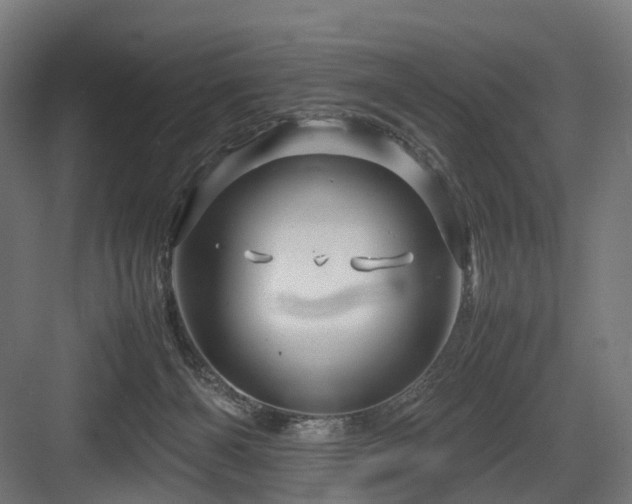 X0000083640126200702121134