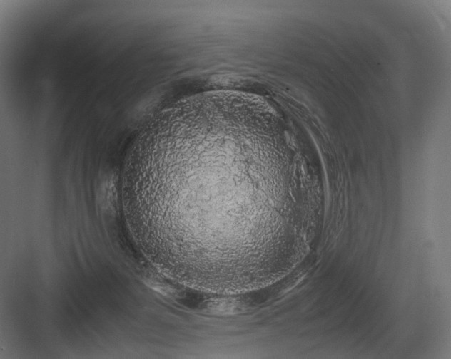 X0000083640127200702121134