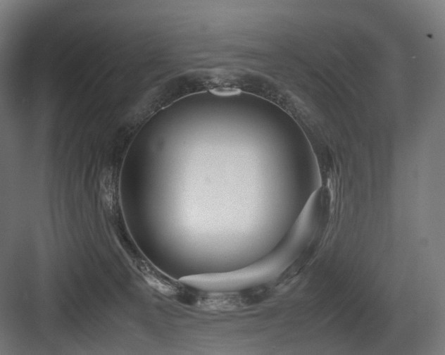 X0000083640129200702121134