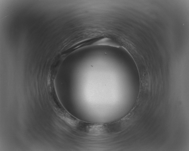 X0000083640132200702121134