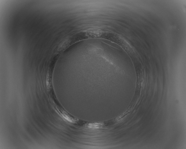 X0000083640134200702121134