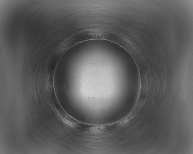X0000083640136200702121134