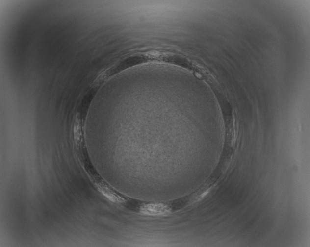 X0000083640137200702121134