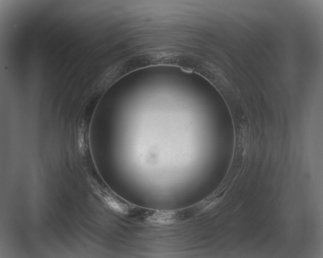 X0000083640138200702121134