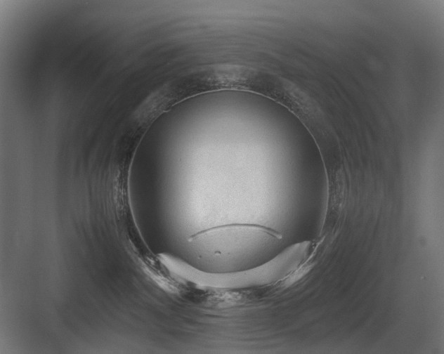 X0000083640140200702121134