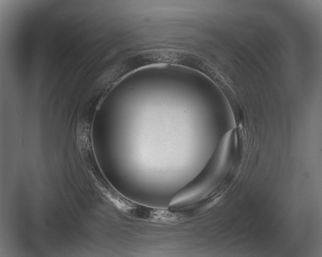 X0000083640141200702121134