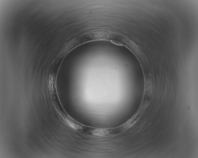 X0000083640142200702121134