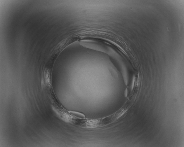 X0000083640143200702121134