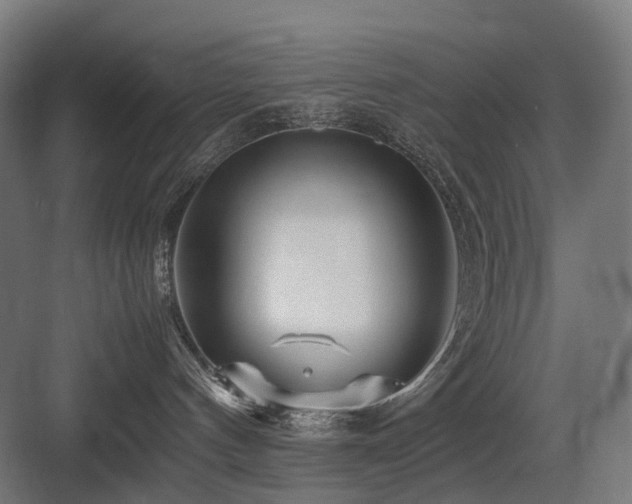 X0000083640144200702121134