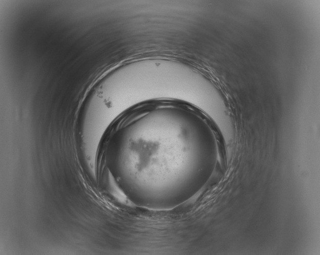 X0000083640146200702121133
