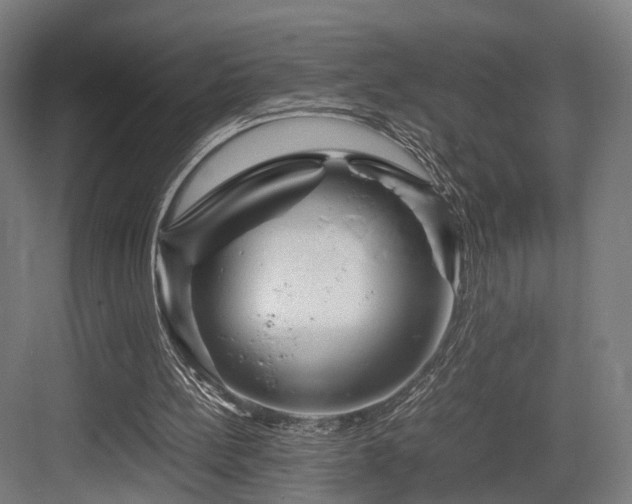 X0000083640148200702121133