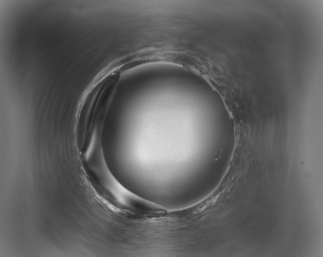 X0000083640150200702121133