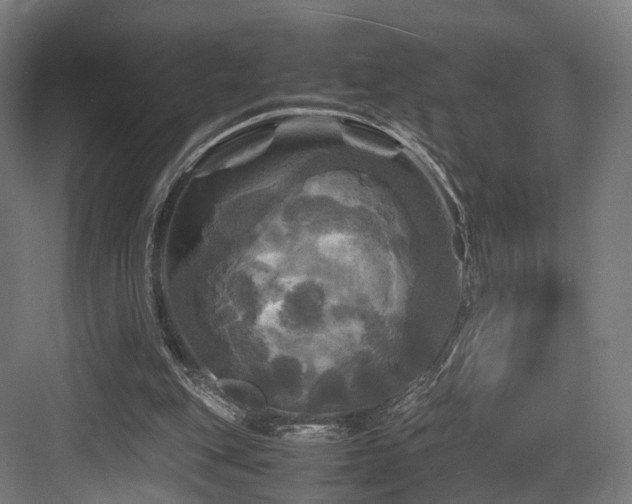 X0000083640151200702121133