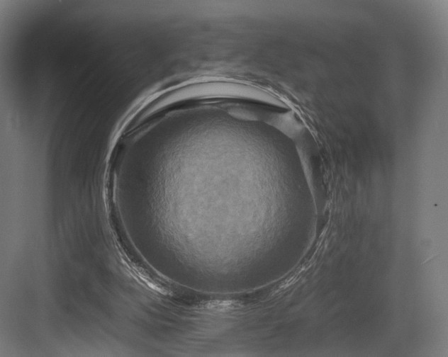 X0000083640152200702121133