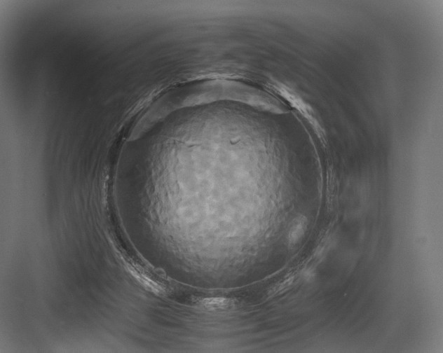 X0000083640153200702121133