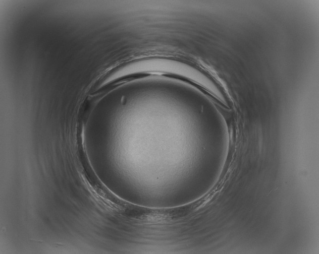 X0000083640154200702121133