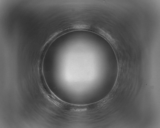 X0000083640155200702121133