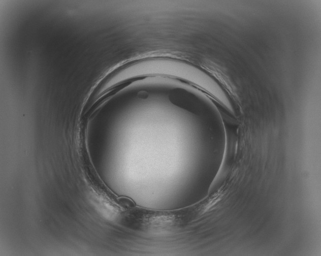 X0000083640156200702121133