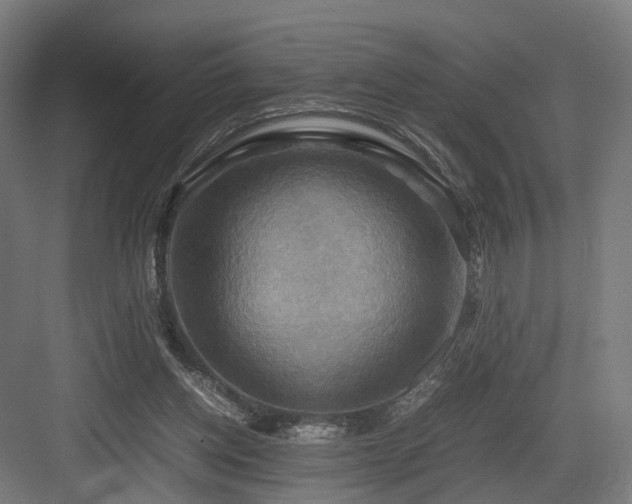 X0000083640158200702121133