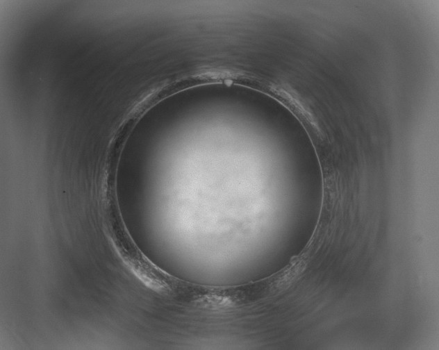 X0000083640159200702121133