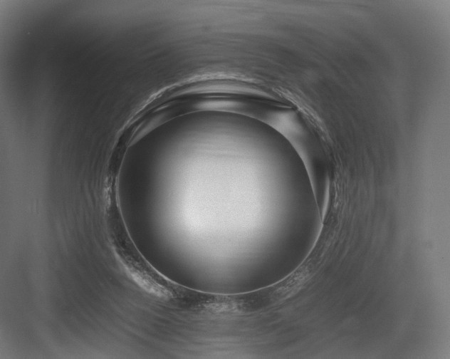 X0000083640160200702121133