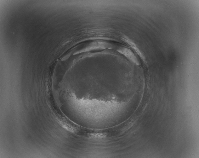 X0000083640161200702121133