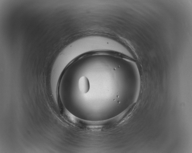 X0000083640162200702121133