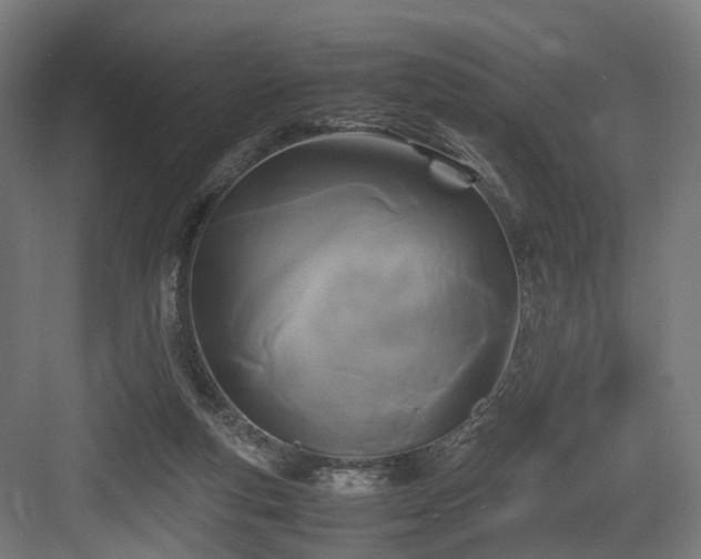 X0000083640163200702121133