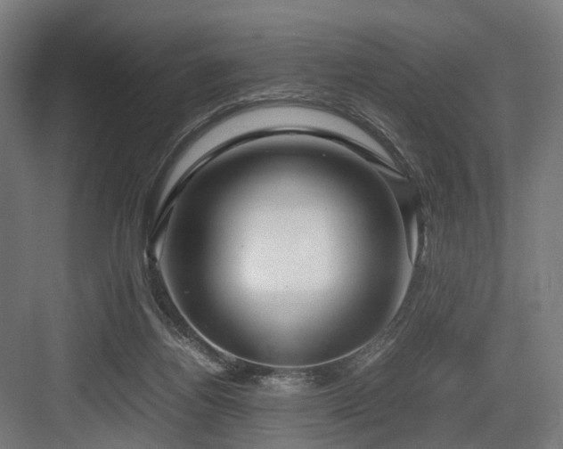 X0000083640164200702121133